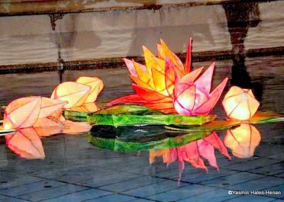 Indian Lotus Flower lanterns-1